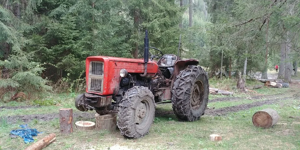 Wielka wycinka, czyli Dolina Chochołowska AD 2018